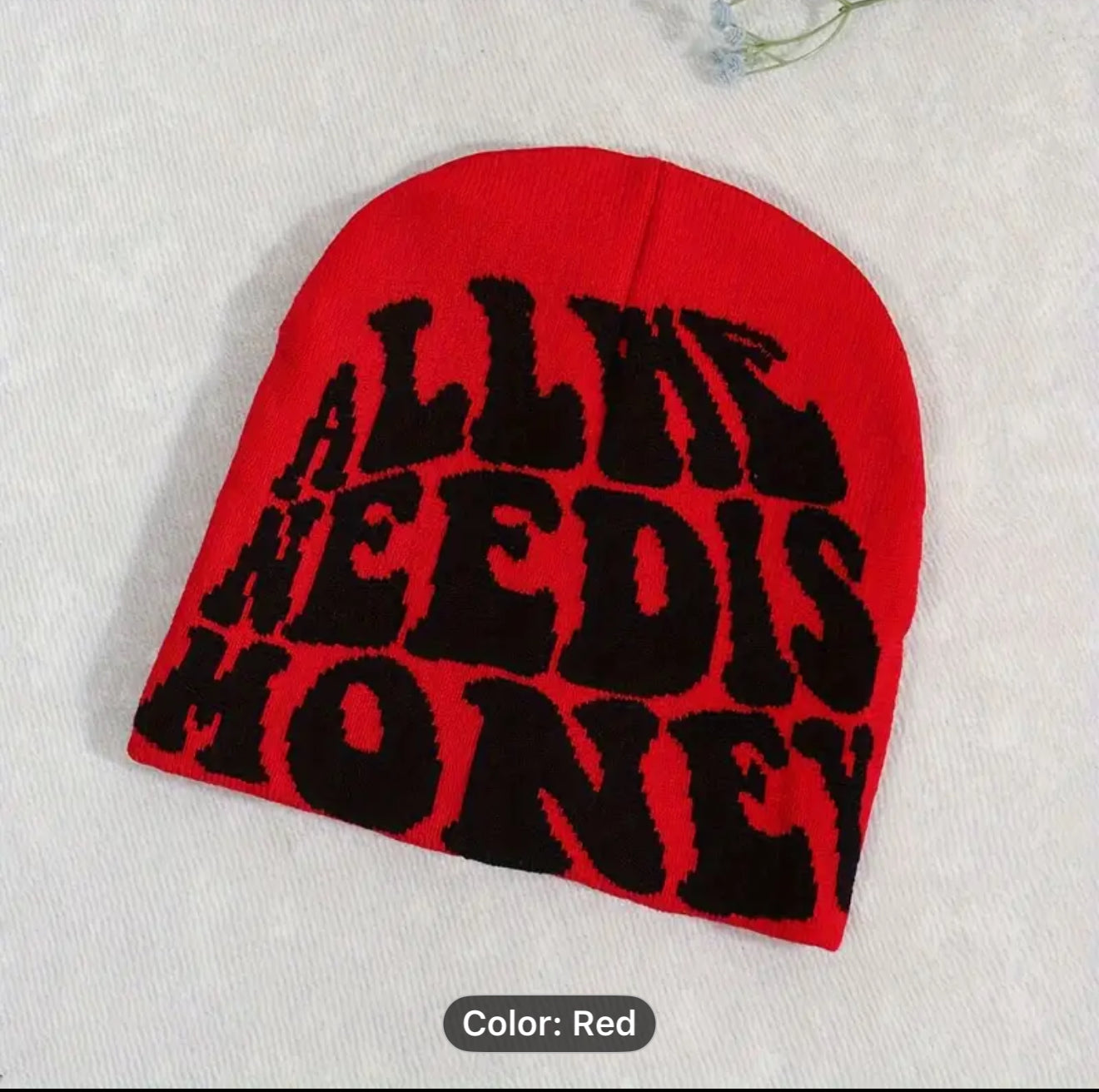 All we need is money beanie